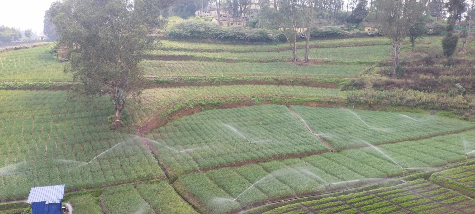J J Homes Ooty Esterno foto